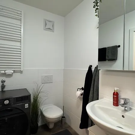 شقة Wohnen Am Fluss Im Donaublick - Garten, Cafe & Wlan, Self-checkin, Parkplatz, Fuer 4 Gaeste لينتز